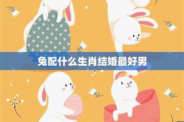 属兔和什么生肖结婚最好