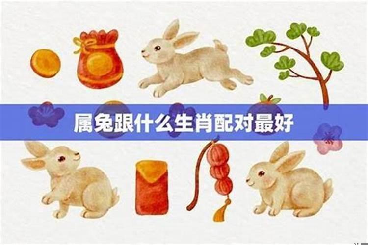 兔和什么生肖配对