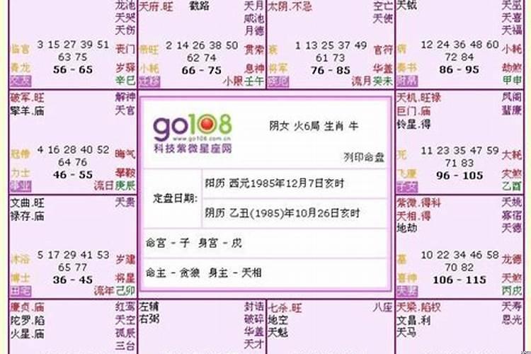 怎么看这个生辰八字
