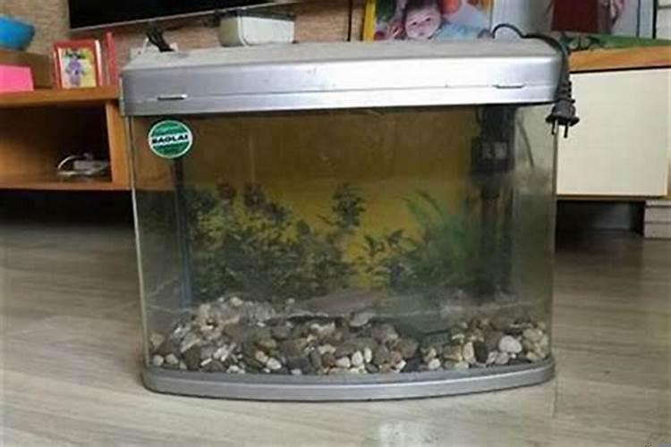 在别人家拿水缸好吗