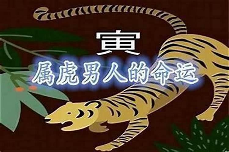 属虎的人今年偏财运怎么样