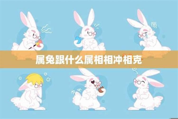 属兔的和什么属相冲相克