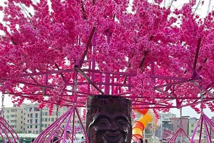 死后不想葬在婆家