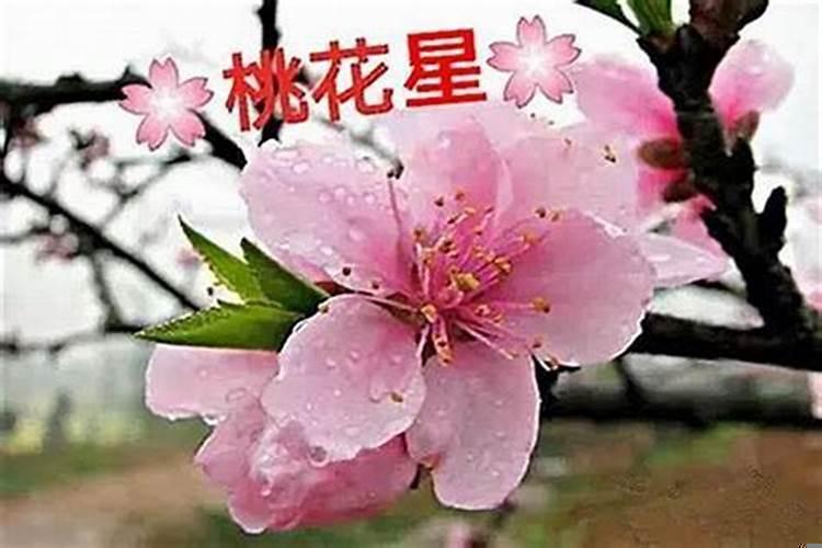 从八字看桃花运