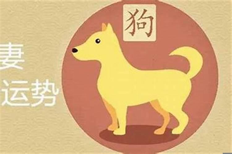 属狗男适合找什么属相女