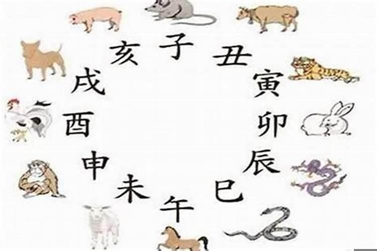 属蛇的和什么属相最配相克