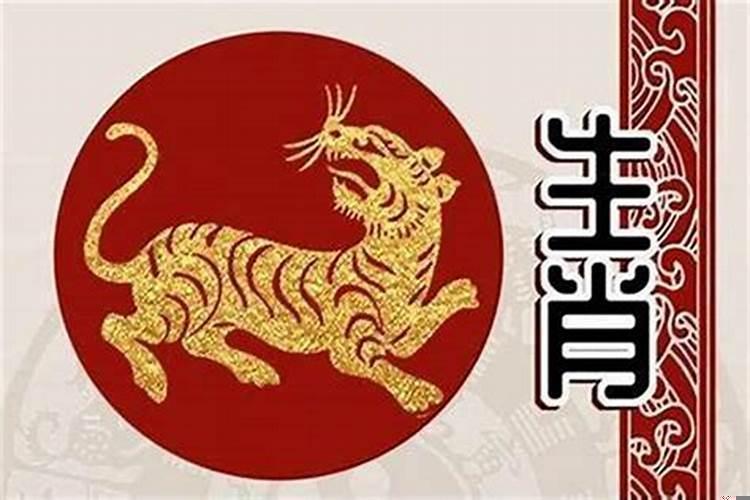 属虎的男和什么属相最配最合适呢