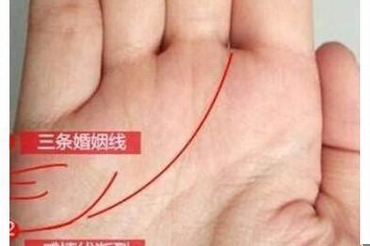 旺财的面相