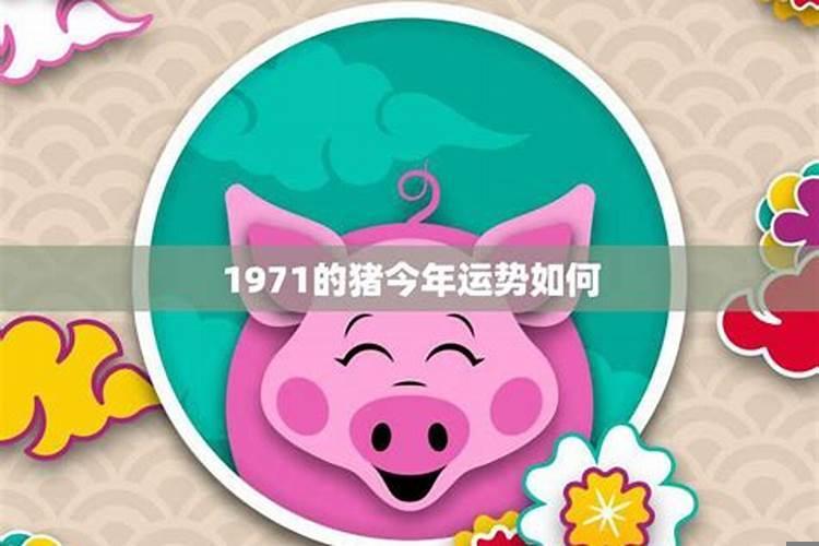 属猪人整体运势如何