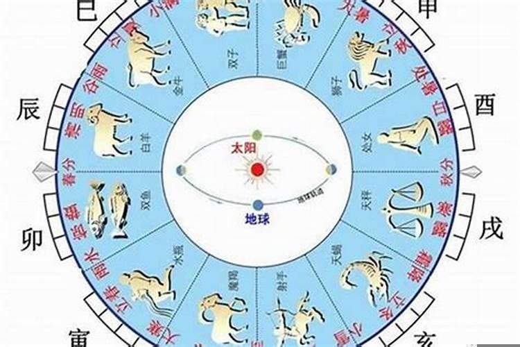什么命是看纳音还是天干地支