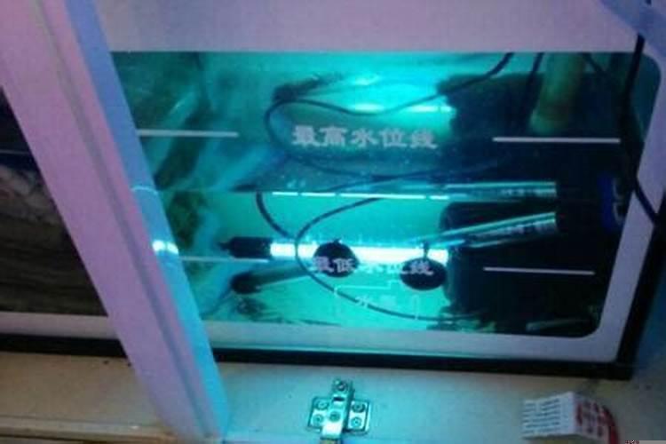鱼缸灯放哪里最好