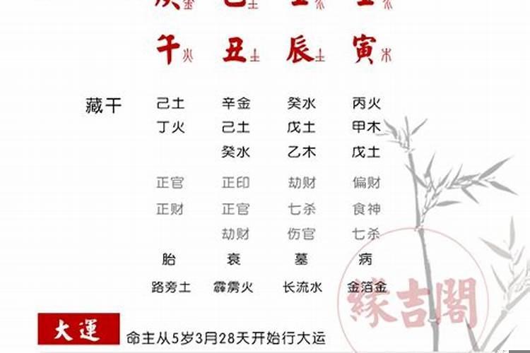 八字看配偶情况