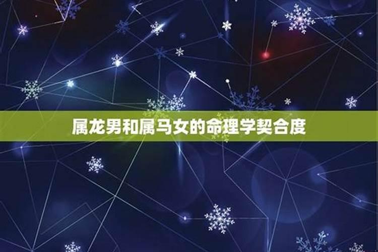 属龙男和属马女的婚姻好不好