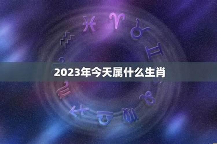 黄道吉日什么生肖最好