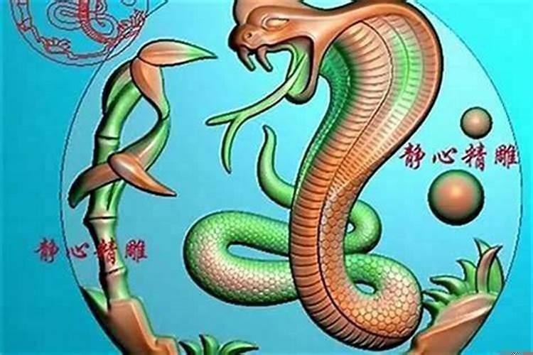 女猴和男蛇配婚姻好不好