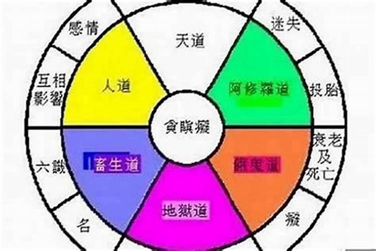 看风水准吗