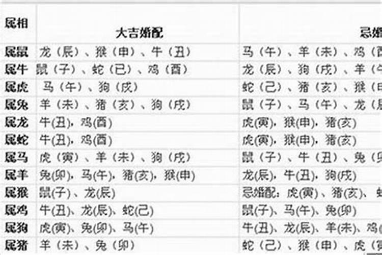 82年七月女人什么命