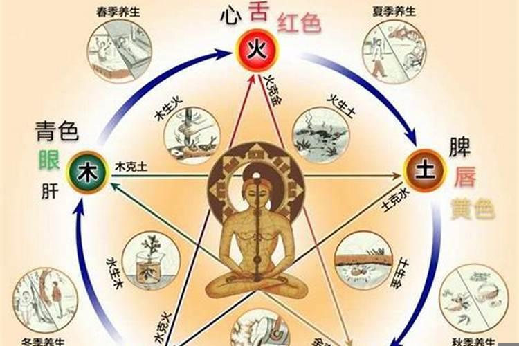 人体五行对应关系部位