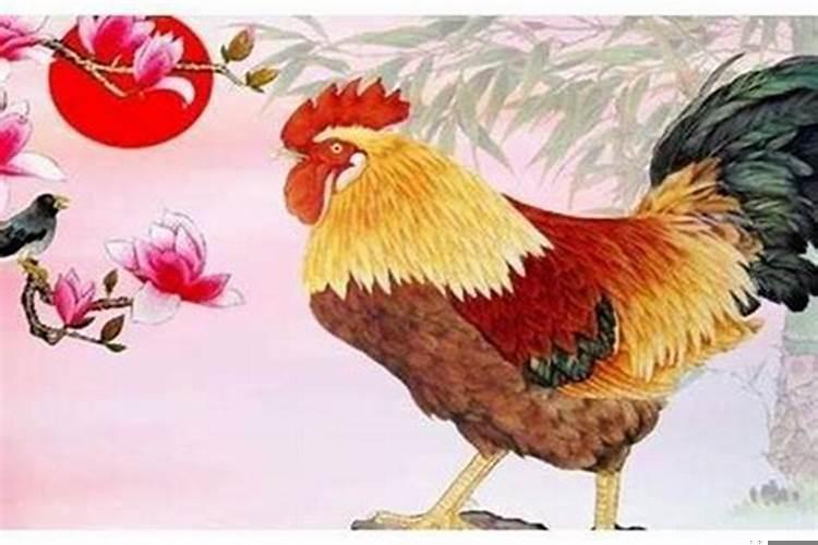 属鸡的今年运势怎么样