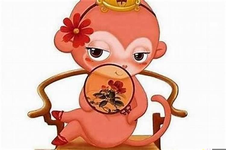 女属狗配猴属相好不好