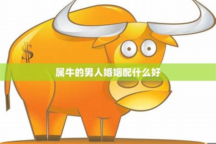 属牛男人性格特点