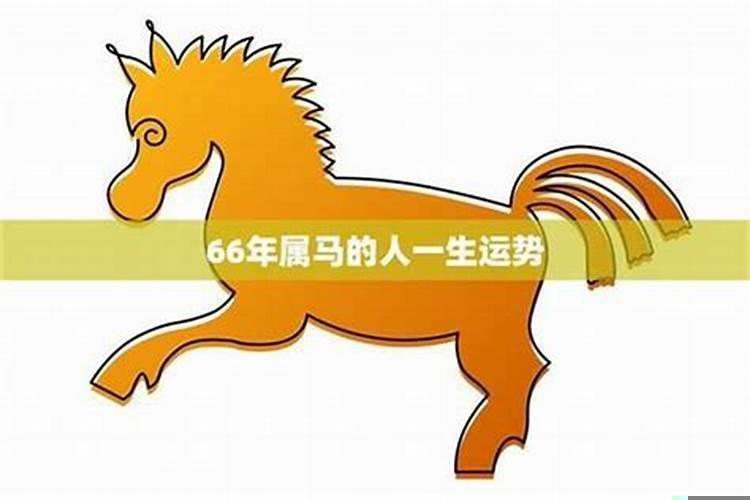 66年属马的今年多大岁数了