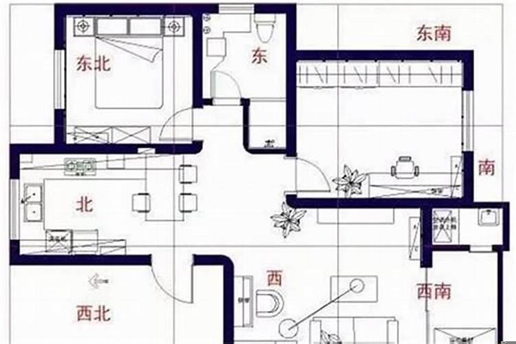 女主人总是生病跟家里风水有关系吗