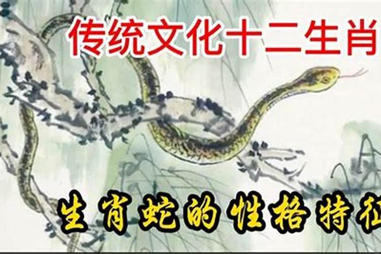 属蛇的弱点是什么