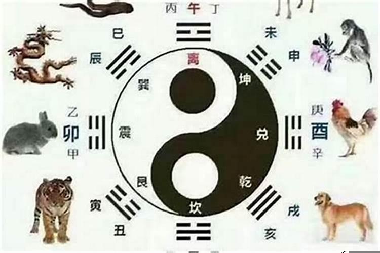 生肖蛇婚配禁忌属相