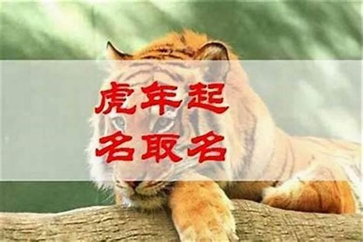 2025年属虎和属兔