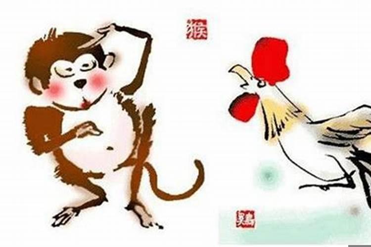 属相鸡和猴可以合作吗