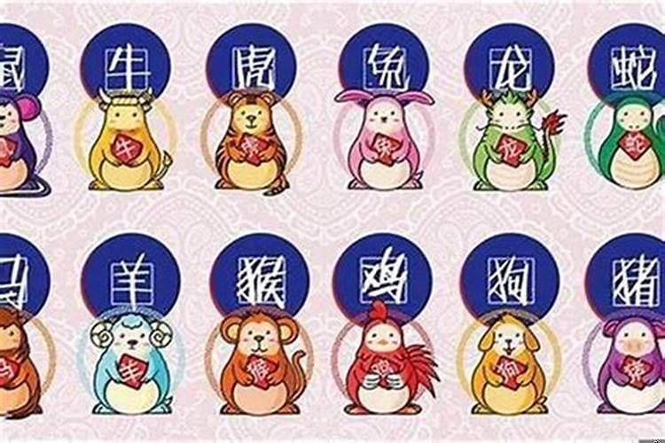 命运好的生肖女