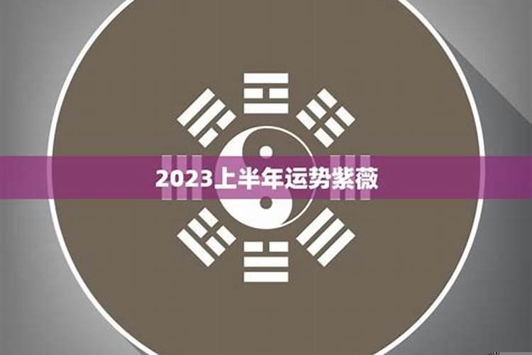 紫微斗数事业运