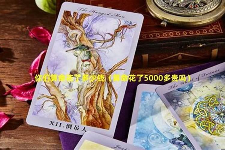 算命五百贵吗