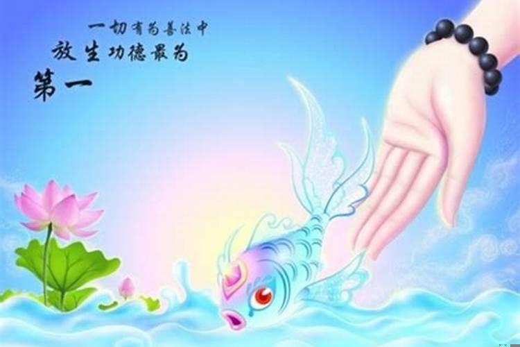 如何如法放生