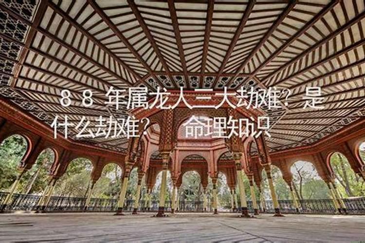 88年属龙过了33岁