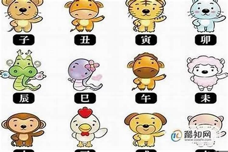 左闪右躲是什么动物
