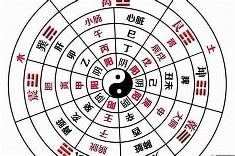 庚子辛巳庚戌甲申命理预测