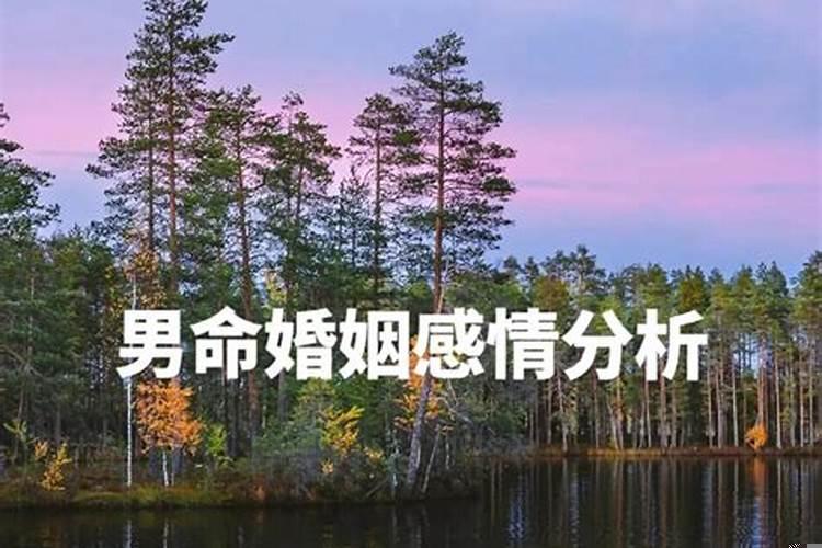 庚子辛巳庚戌甲申命理预测