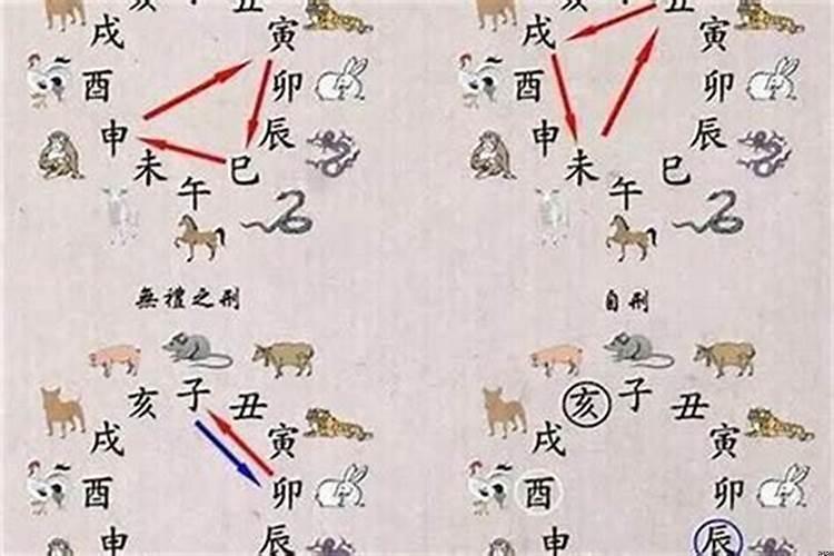 什么叫属相相刑呢