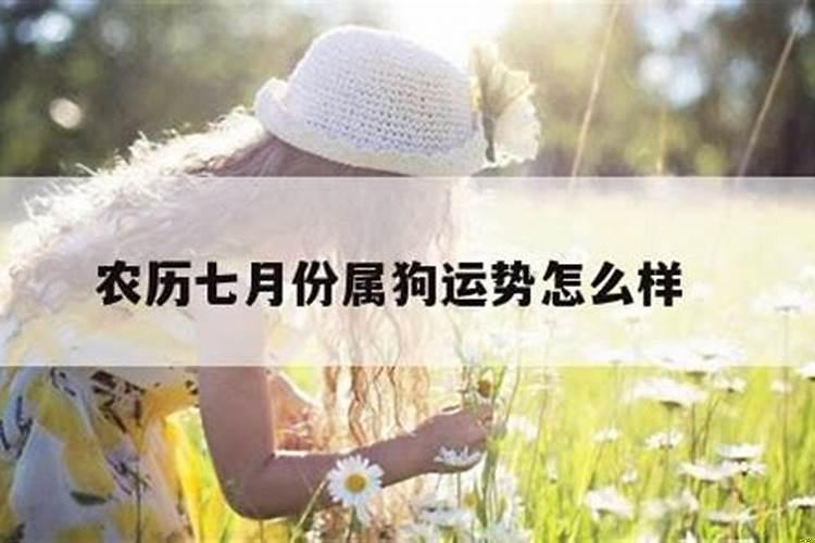 七月份生肖狗运势