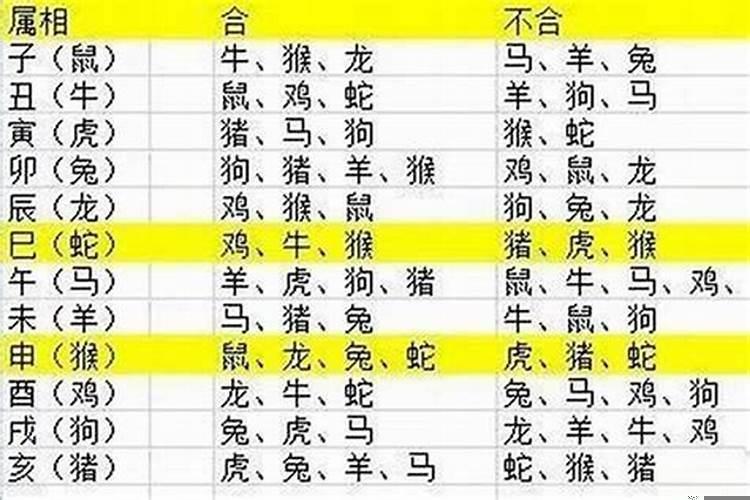前途无量是什么生肖动物最佳