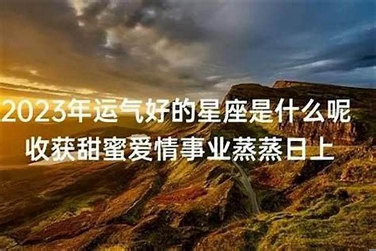 2025年事业运好的星座