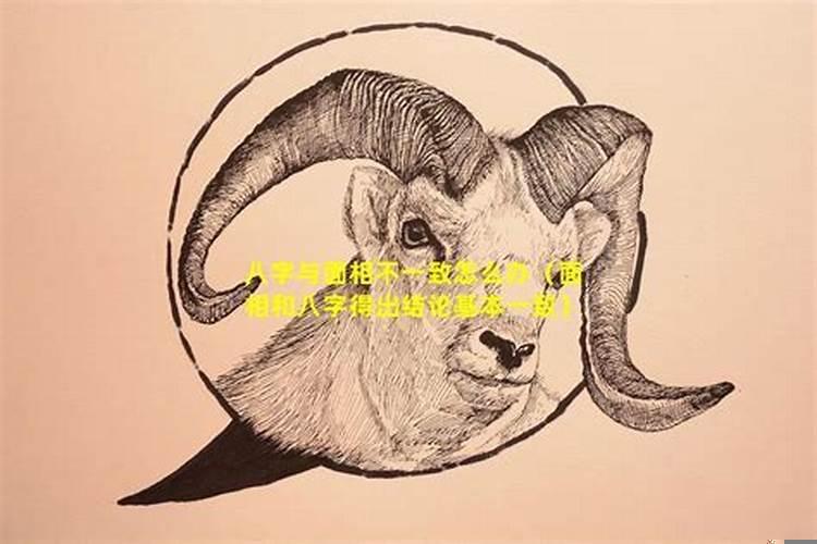 八字与面相哪个准