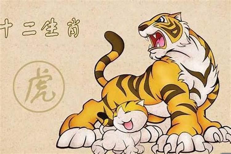 98年的虎女生和什么属相配