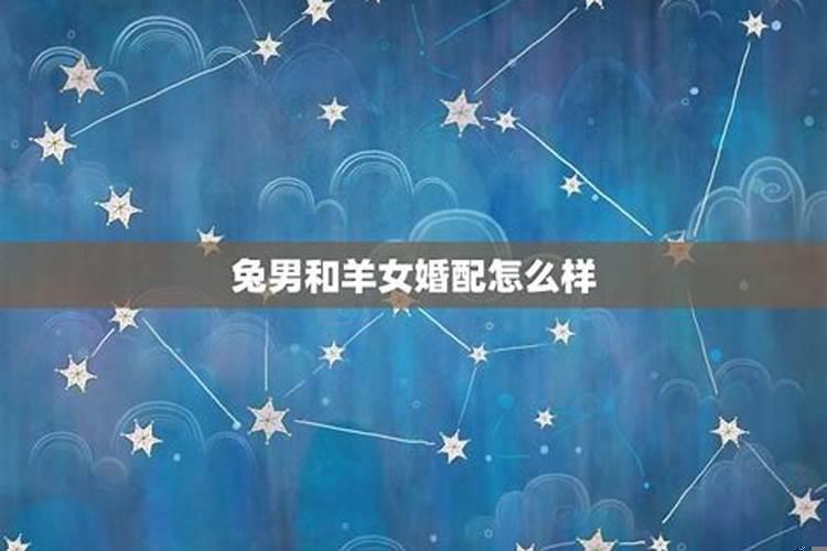 属兔的人跟属羊的人相配吗
