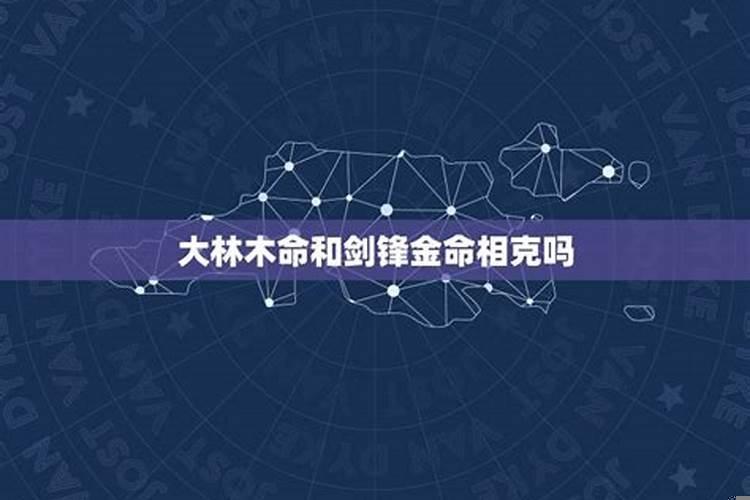 大林木与剑锋金命