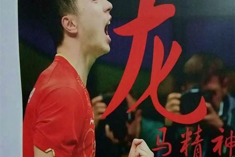 梦见马和龙