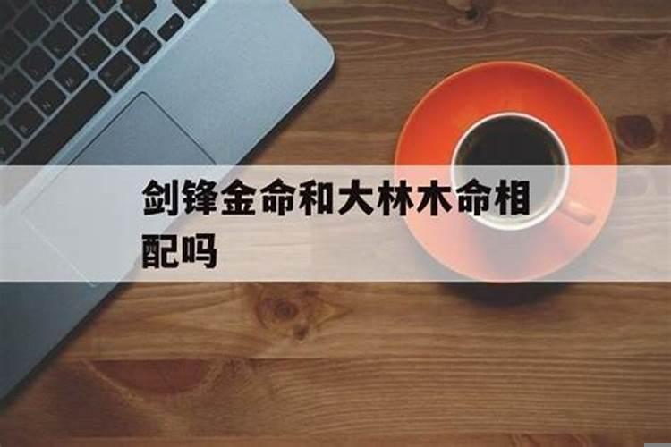 大林木与剑锋金命