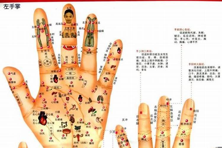 手掌线条名称